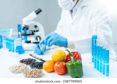 خوراک میں کیمیکلز کا استعمال کتنا خطرناک: عالمی ادارے نے خبردار کردیا