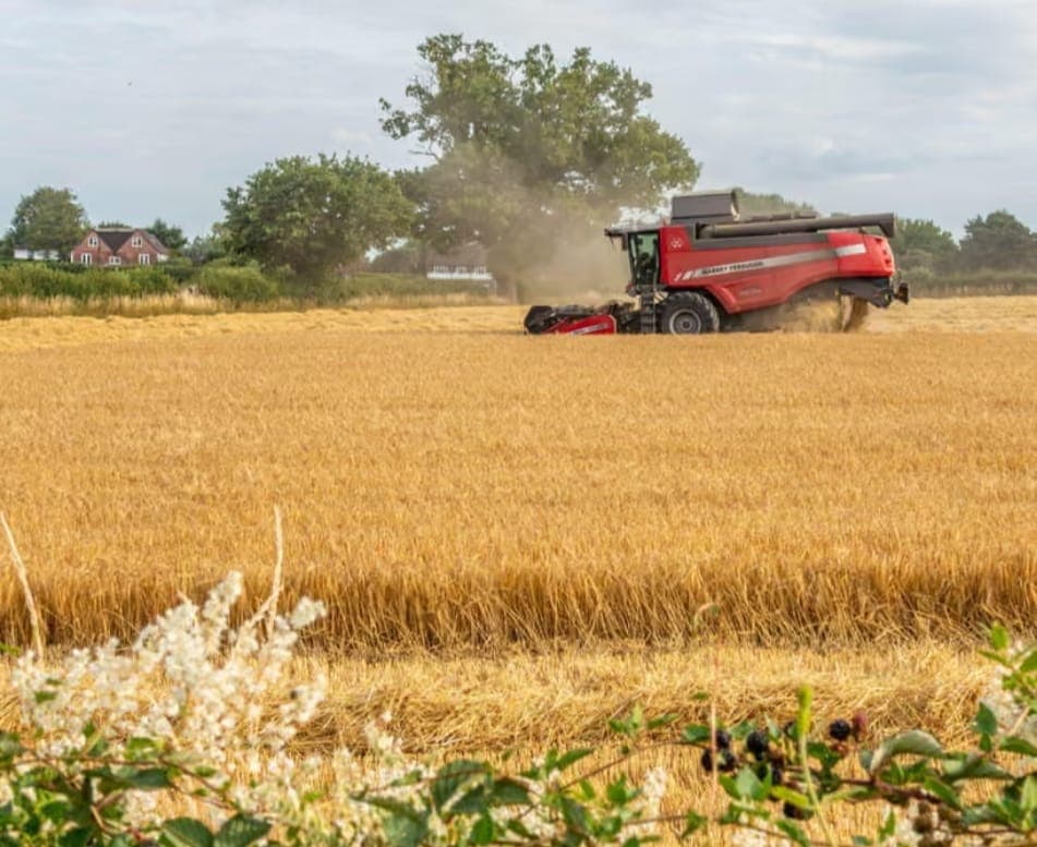 کاربن ڈائی آکسائیڈ بڑھنے سے خوراک کم غذائیت والی ہو گئی: ماہرین نے خبردار کردیا 