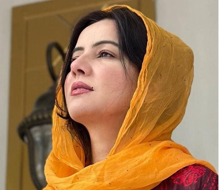 رابی پیرزادہ کی شادی کیوں ٹوٹی؟ خود ہی راز سے پردہ اٹھا دیا