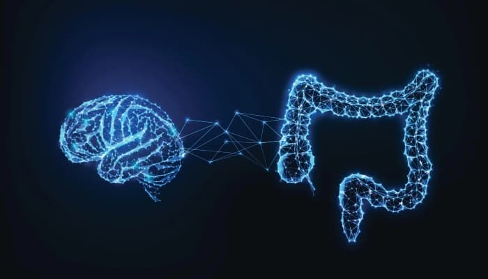 معدے اور ذہانت کے درمیان حیران کن تعلق دریافت