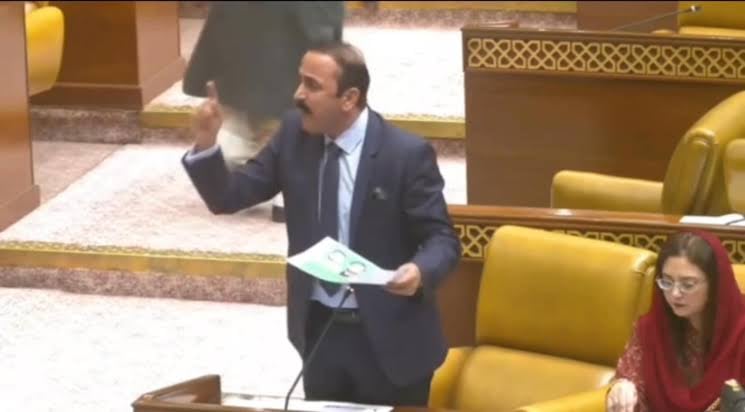 چنگچی اور پھٹہ رکشوں کے خلاف کارروائی سے جنوبی پنجاب کے عوام پریشان ہیں،ممتاز چانگ