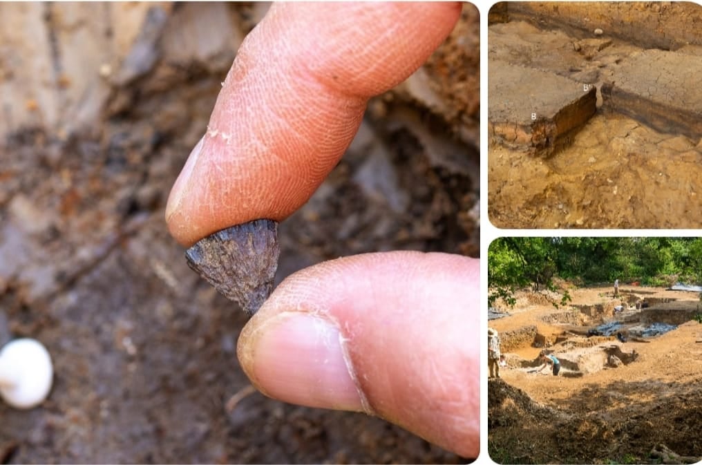 انسان نے آگ جلانا کب سیکھا؟ نئی تحقیق میں نئے انکشافات