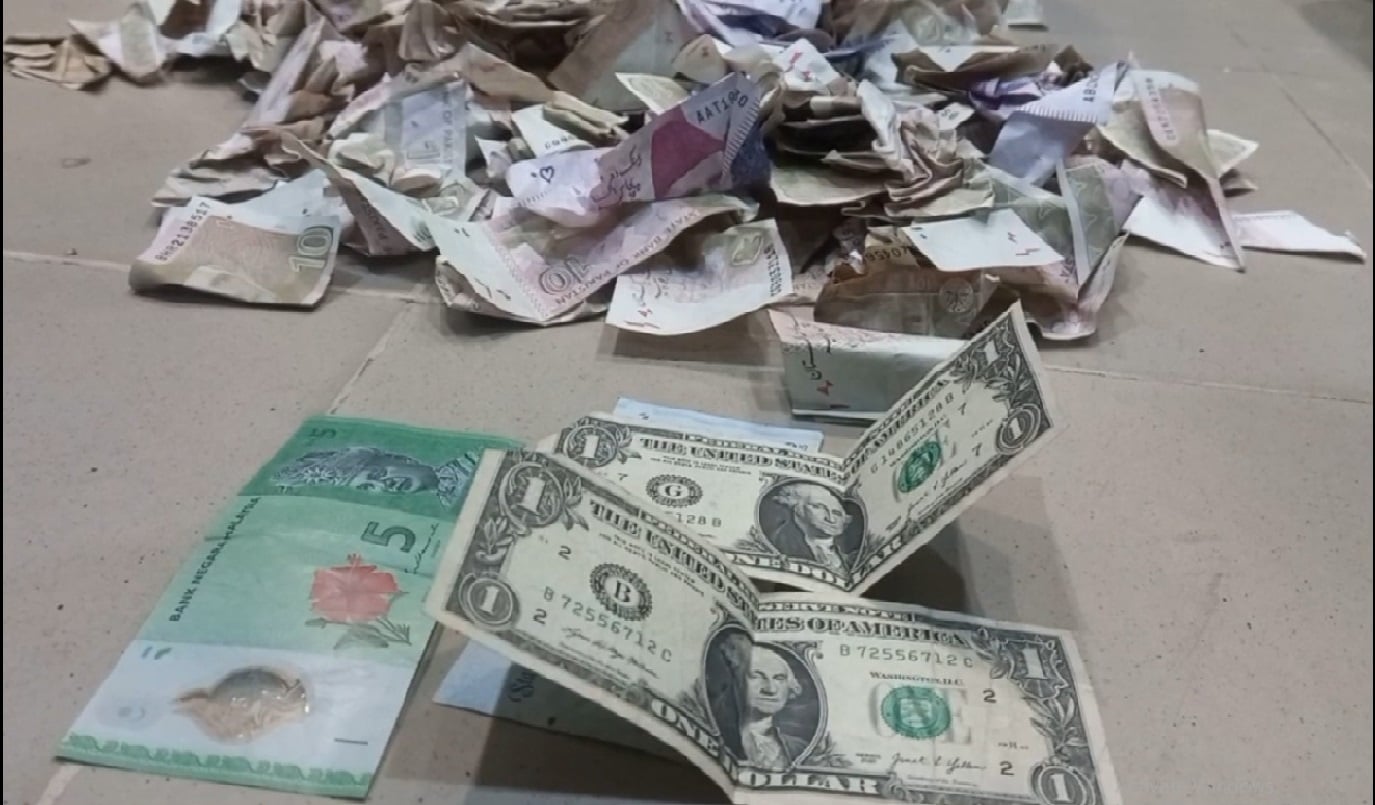 گوجرانوالہ میں شادی کی تقریب کے دوران ڈالر اور درہم نچھاور،باراتی بھی نوٹ لوٹتے رہے