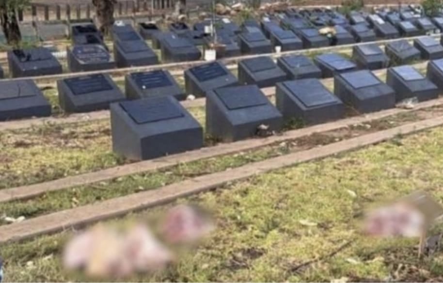 سڈنی میں مسلمانوں کے قبرستان کی بے حرمتی، قبروں پر سؤر  کے اعضاء  رکھ دیے گئے