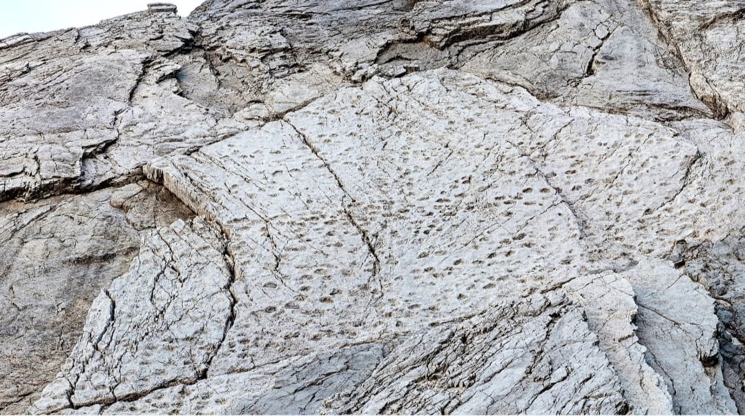 اٹلی میں 210 ملین سال پرانے ڈائناسور کے قدموں کے نشانات دریافت