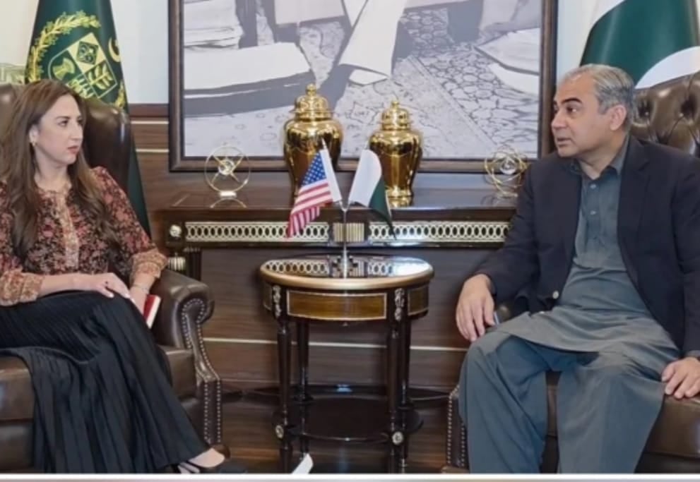 پاکستان اور امریکا کا انسداد منشیات، غیرقانونی امیگریشن کی روک تھام پر تعاون بڑھانے پر اتفاق