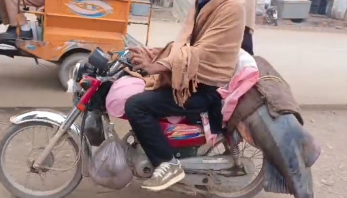 شکرگڑھ کے مچھیرے نے دریائے راوی سے 102کلو وزنی مچھلی پکڑ لی